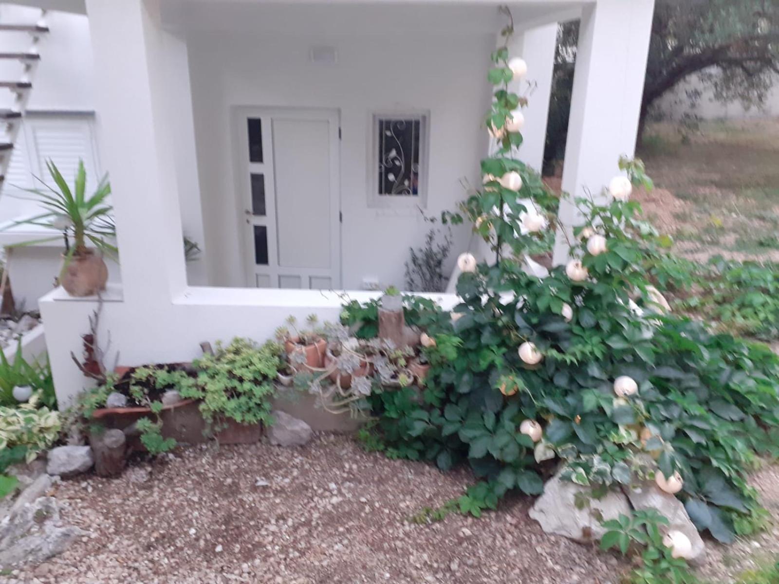 Villa Ana 마카르스카 객실 사진